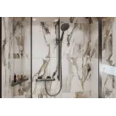 Душевая лейка Hansgrohe Raindance Select S 120 3jet 26530340