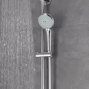 Ручной душ 110 мм Grohe Euphoria 27221000