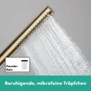 Душевая лейка Hansgrohe Pulsify S 1jet EcoSmart+ 24126140