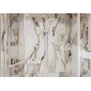 Душевая лейка Hansgrohe Raindance Select S 120 3jet 26530700