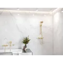 Душевая лейка Hansgrohe Raindance Select S 120 3jet EcoSmart 26531990