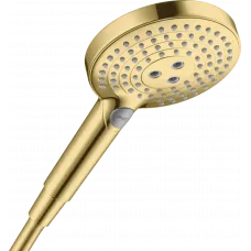 Душевая лейка Hansgrohe Raindance Select S 120 3jet 26530990