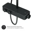 Душевая система 250 мм Am.Pm Inspire F0750A422