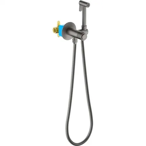 Гигиенический душ Aquatek Бетта AQ1023BGM со смесителем, оружейная сталь матовый