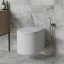 Гигиенический душ Paini Castello Round CAPW442R со смесителем, никель матовый