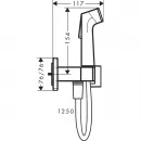 Гигиенический душ Hansgrohe Bidette 1jet E 29233670 со смесителем, черный матовый
