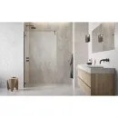 Неподвижная перегородка Radaway Essenza Pro Brushed GunMetal Walk-in 120 10103120-92-01 прозрачное