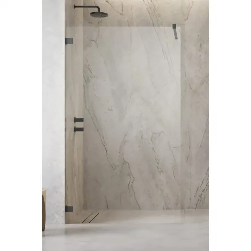 Неподвижная перегородка Radaway Essenza Pro Brushed GunMetal Walk-in 100 10103100-92-01 прозрачное