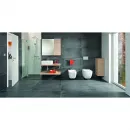Раковина-чаша Roca Mila 32700B000 50x35 см, накладная, белый