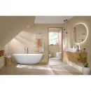 Раковина-чаша Villeroy & Boch Antao 4A7465RW 65x40 см, накладная, белый матовый