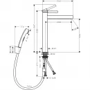 Смеситель для раковины с гигиеническим душем Hansgrohe Finoris 76220670