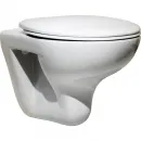 Сиденье для унитаза Roca Mateo ZRU9302815