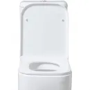 Сиденье для унитаза с микролифтом Allen Brau Infinity 4.21010.20