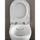 Сиденье для унитаза с микролифтом Geberit Acanto 500.605.01.2