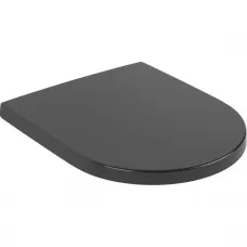 Сиденье для унитаза Villeroy & Boch Subway 3.0 8M42S1R7 с микролифтом, черный матовый