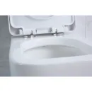 Сиденье для унитаза с микролифтом BelBagno Veneto BB132SC