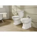 Сиденье для унитаза с микролифтом Roca Carmen 801B5200B