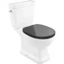 Сиденье для унитаза с микролифтом Roca Carmen 801B5238B