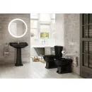 Сиденье для унитаза с микролифтом Roca Carmen 801B5238B