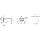 Унитаз подвесной Am.Pm Inspire 2.0 CCC50A1700SC безободковый, с функцией биде, с сиденьем микролифт, белый