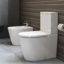 Чаша напольного унитаза Roca Inspira 342527000