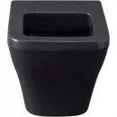 Унитаз подвесной Allen Brau Infinity 4.21011.AN безободковый, антрацит