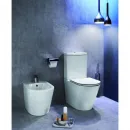 Чаша напольного безободкового унитаза Jacob Delafon Rodin+ UJAB102-00