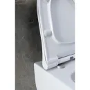 Унитаз подвесной Allen Brau Priority 4.31002.20 безободковый, белый
