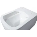 Унитаз подвесной Allen Brau Liberty 4.32003.20 безободковый, с сиденьем микролифт, белый