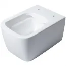 Унитаз подвесной Allen Brau Liberty 4.32003.20 безободковый, с сиденьем микролифт, белый
