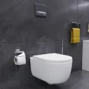 Унитаз подвесной Damixa Sirius DX86C1800SC безободковый, с функцией биде, с сиденьем микролифт, белый