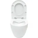 Унитаз подвесной Allen Brau Reality 4.32006.20 безободковый, белый