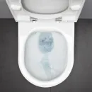 Унитаз подвесной Laufen Pro 6.2096.6.395.000.1 безободковый, с сиденьем микролифт, белый