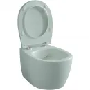 Унитаз подвесной Allen Brau Fantasy 4.11004.MT безободковый, мятный