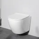 Унитаз подвесной Am.Pm Like AquaSpin C801900SC безободковый, торнадо, с сиденьем микролифт, белый