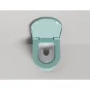 Унитаз подвесной Salini S-Stone Gemelli 240121KMF безободковый, с крышкой микролифт, покраска внешнего корпуса по RAL матовый