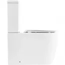 Чаша напольного унитаза BelBagno Marino BB105CP