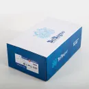 Смеситель для ванны BelBagno Unique UNIQUE-VASM-L-CRM универсальный, с душевым гарнитуром, хром