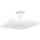 Верхний душ Hansgrohe Raindance E 300 1jet 26250700