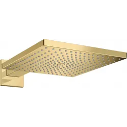 Верхний душ Hansgrohe Raindance E 300 1jet 26238990