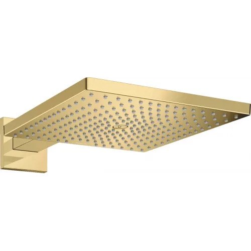 Верхний душ Hansgrohe Raindance E 300 1jet 26238990