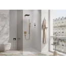 Верхний душ Hansgrohe Pulsify E 260 1jet 24330140