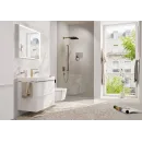 Верхний душ Hansgrohe Pulsify E 260 1jet 24330140